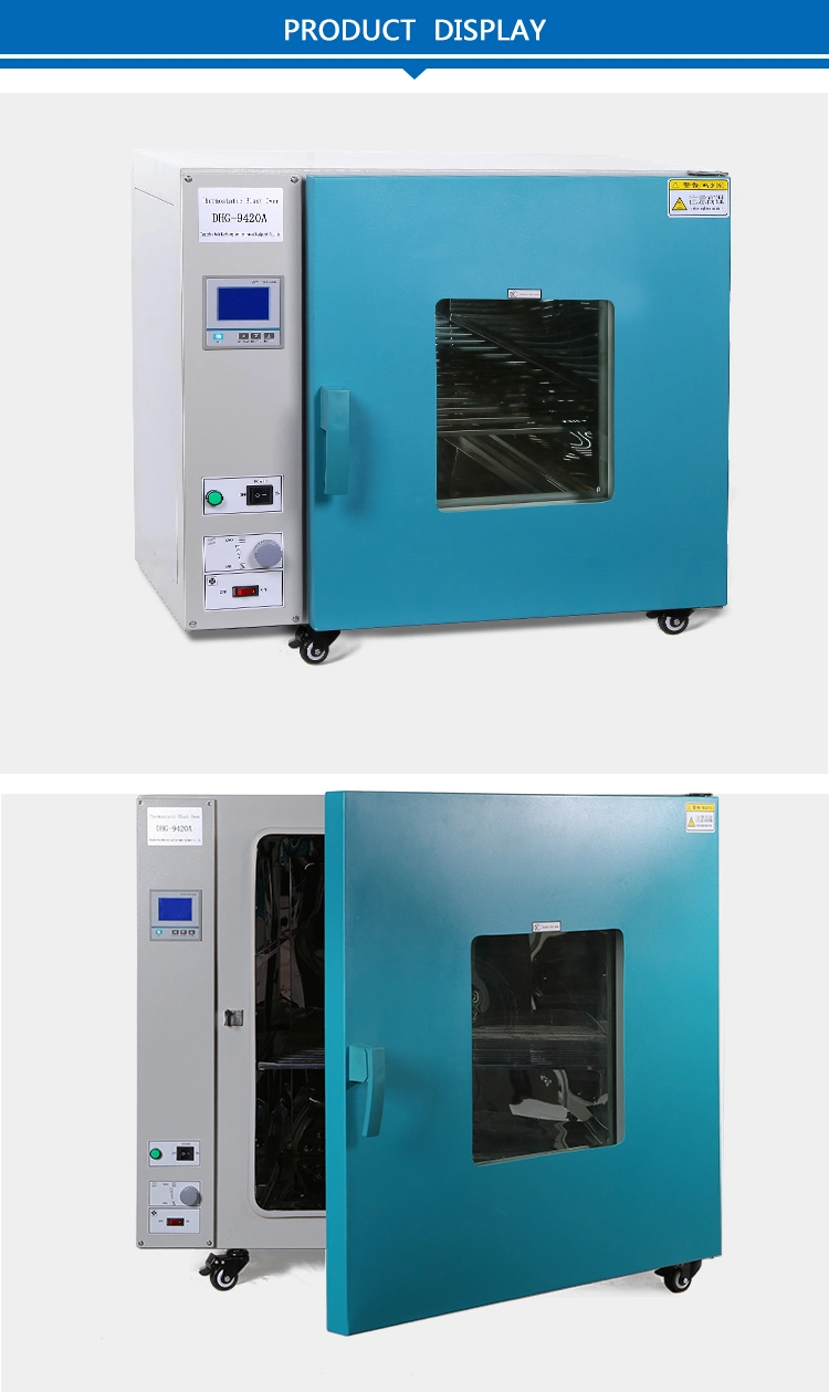 Laboratory LCD Display Precision Drying Chamber Electrode Dhg Blast Drying Oven Machine Price